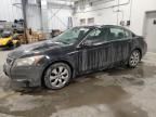 2010 Honda Accord EX