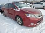 2010 Lexus HS 250H