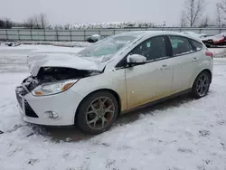 Salvage cars for sale at Columbia Station, OH auction: 2014 Ford Focus SE