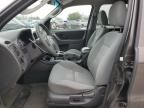 2007 Ford Escape XLT