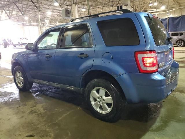 2009 Ford Escape XLT