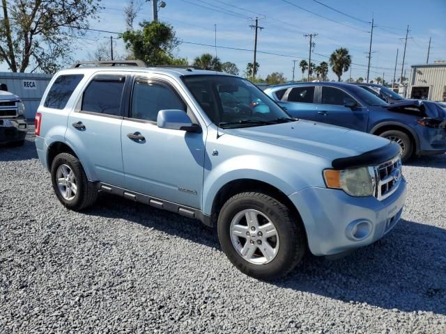 2008 Ford Escape HEV