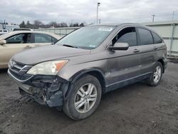 Salvage cars for sale at Pennsburg, PA auction: 2011 Honda CR-V EXL