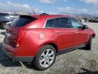 2010 Cadillac SRX Performance Collection