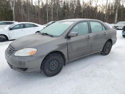 Salvage cars for sale at Cookstown, ON auction: 2003 Toyota Corolla CE