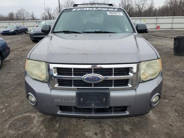 2008 Ford Escape XLT