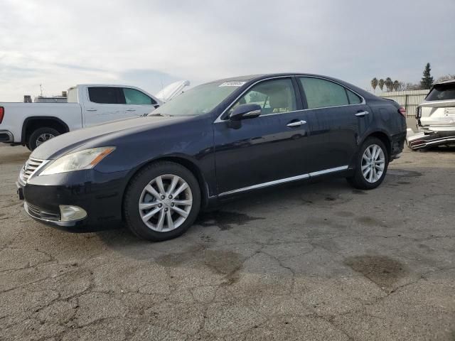 2010 Lexus ES 350