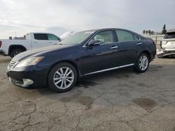 Salvage cars for sale from Copart Bakersfield, CA: 2010 Lexus ES 350