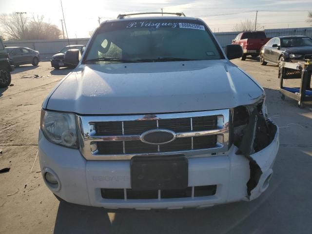 2010 Ford Escape XLT