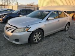 Toyota Vehiculos salvage en venta: 2010 Toyota Camry Base