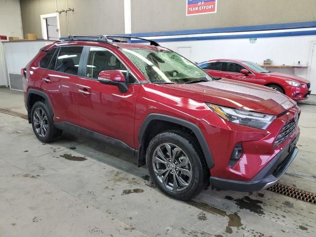 2024 Toyota Rav4 Limited