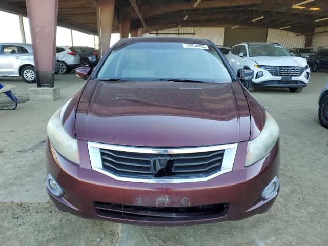 2010 Honda Accord EXL