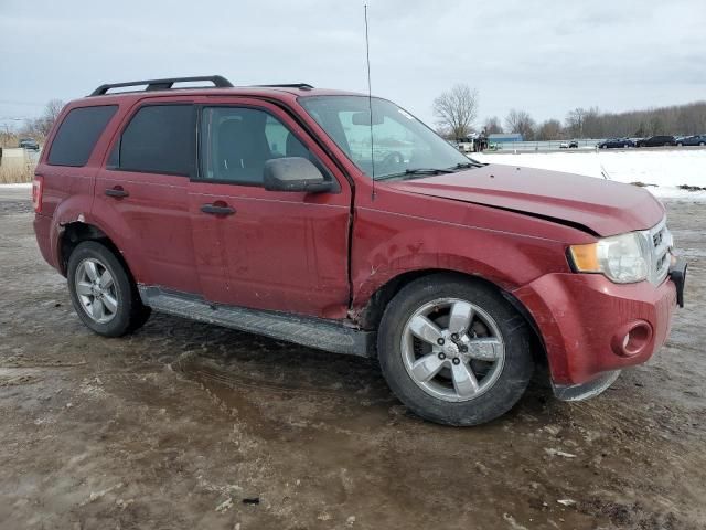 2011 Ford Escape XLT