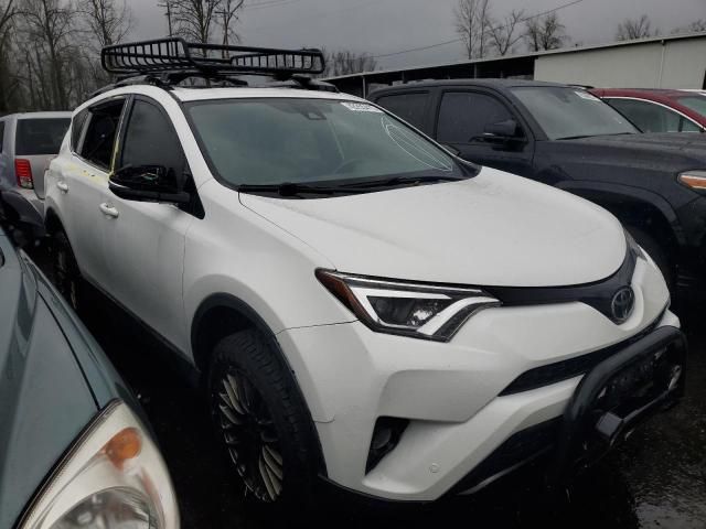 2017 Toyota Rav4 SE