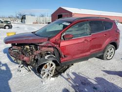 Salvage cars for sale at London, ON auction: 2018 Ford Escape SE