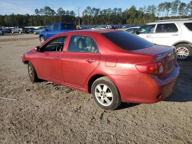 2010 Toyota Corolla Base