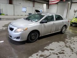 Toyota Corolla salvage cars for sale: 2010 Toyota Corolla Base