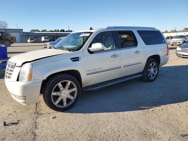 2010 Cadillac Escalade ESV Luxury