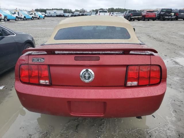 2005 Ford Mustang