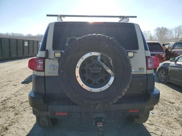 2010 Toyota FJ Cruiser