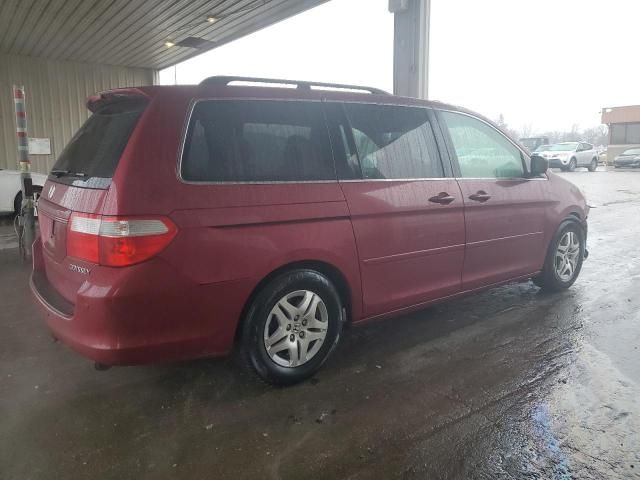 2005 Honda Odyssey EXL