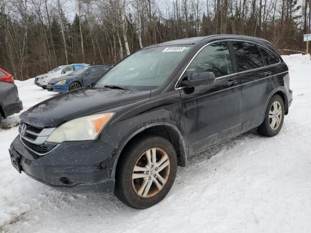 2010 Honda CR-V EXL