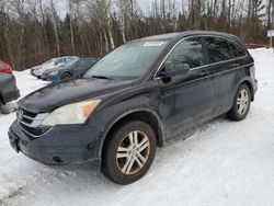 Clean Title Cars for sale at auction: 2010 Honda CR-V EXL