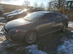 Salvage Cars with No Bids Yet For Sale at auction: 2007 Scion TC