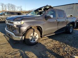 Salvage cars for sale at Spartanburg, SC auction: 2023 Chevrolet Silverado C1500 LT