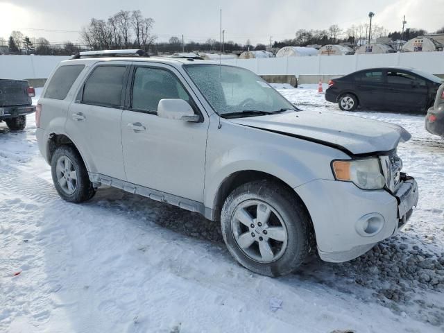 2011 Ford Escape Limited