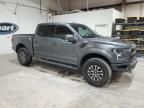 2019 Ford F150 Raptor