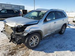 Salvage cars for sale at Bismarck, ND auction: 2014 KIA Sorento LX