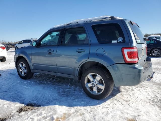 2011 Ford Escape Limited