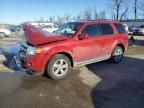 2010 Ford Escape Limited