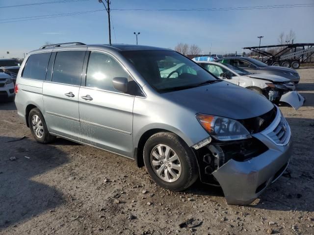 2008 Honda Odyssey EXL