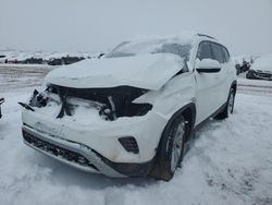 Salvage cars for sale at Brighton, CO auction: 2021 Volkswagen Atlas SE