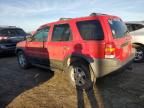 2002 Ford Escape XLT