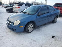 Dodge Neon Vehiculos salvage en venta: 2004 Dodge Neon Base