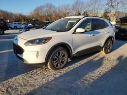 Ford salvage cars for sale: 2020 Ford Escape SEL