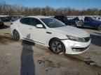 2012 KIA Optima Hybrid