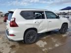 2020 Lexus GX 460 Luxury