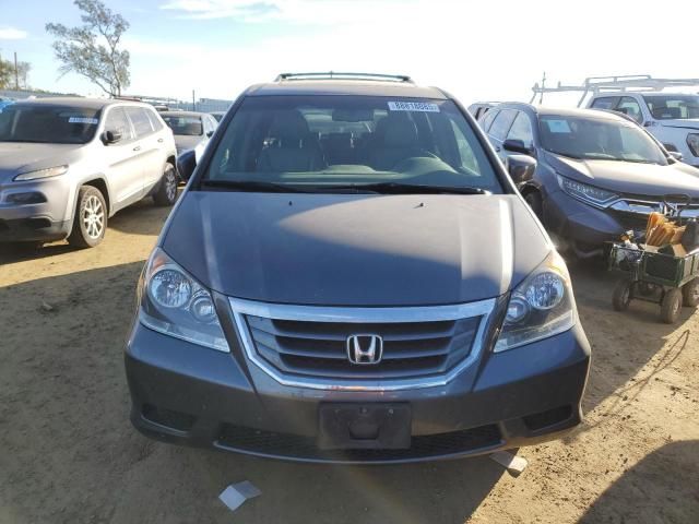 2010 Honda Odyssey EXL