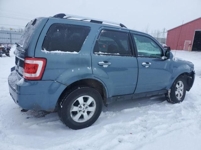 2011 Ford Escape Limited