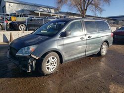 Salvage cars for sale at Albuquerque, NM auction: 2005 Honda Odyssey EXL