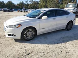 Salvage cars for sale at Ocala, FL auction: 2013 Ford Fusion Titanium HEV