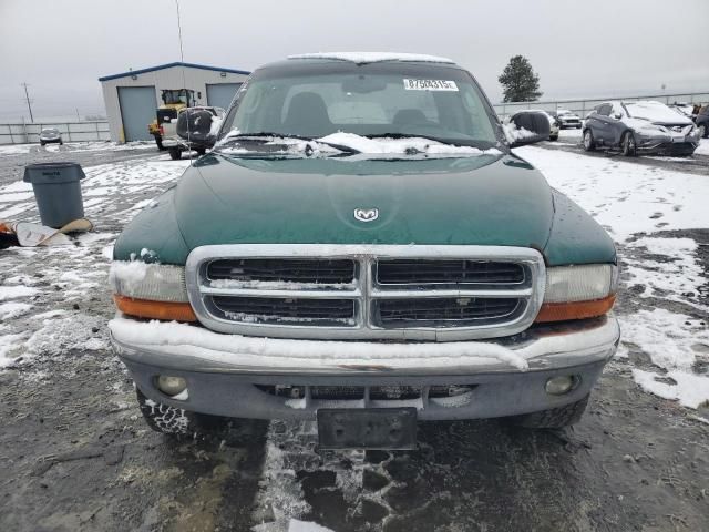 2004 Dodge Dakota SLT