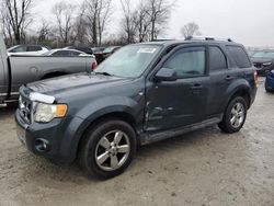 Carros con verificación Run & Drive a la venta en subasta: 2008 Ford Escape Limited