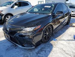 Salvage cars for sale at Pekin, IL auction: 2023 Toyota Camry XSE