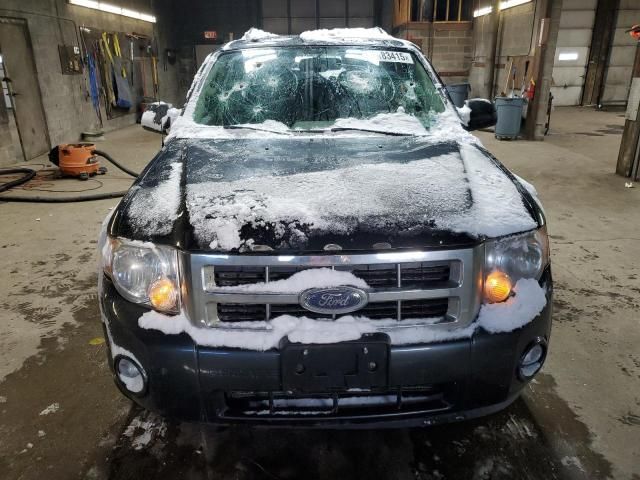 2009 Ford Escape XLT