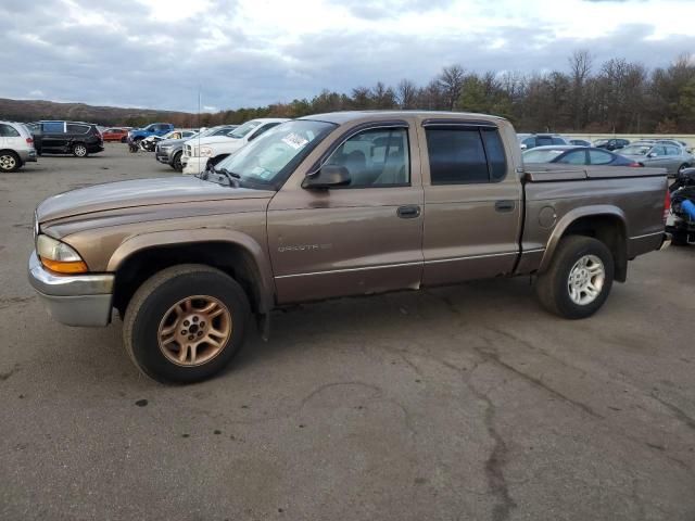 2001 Dodge Dakota Quattro